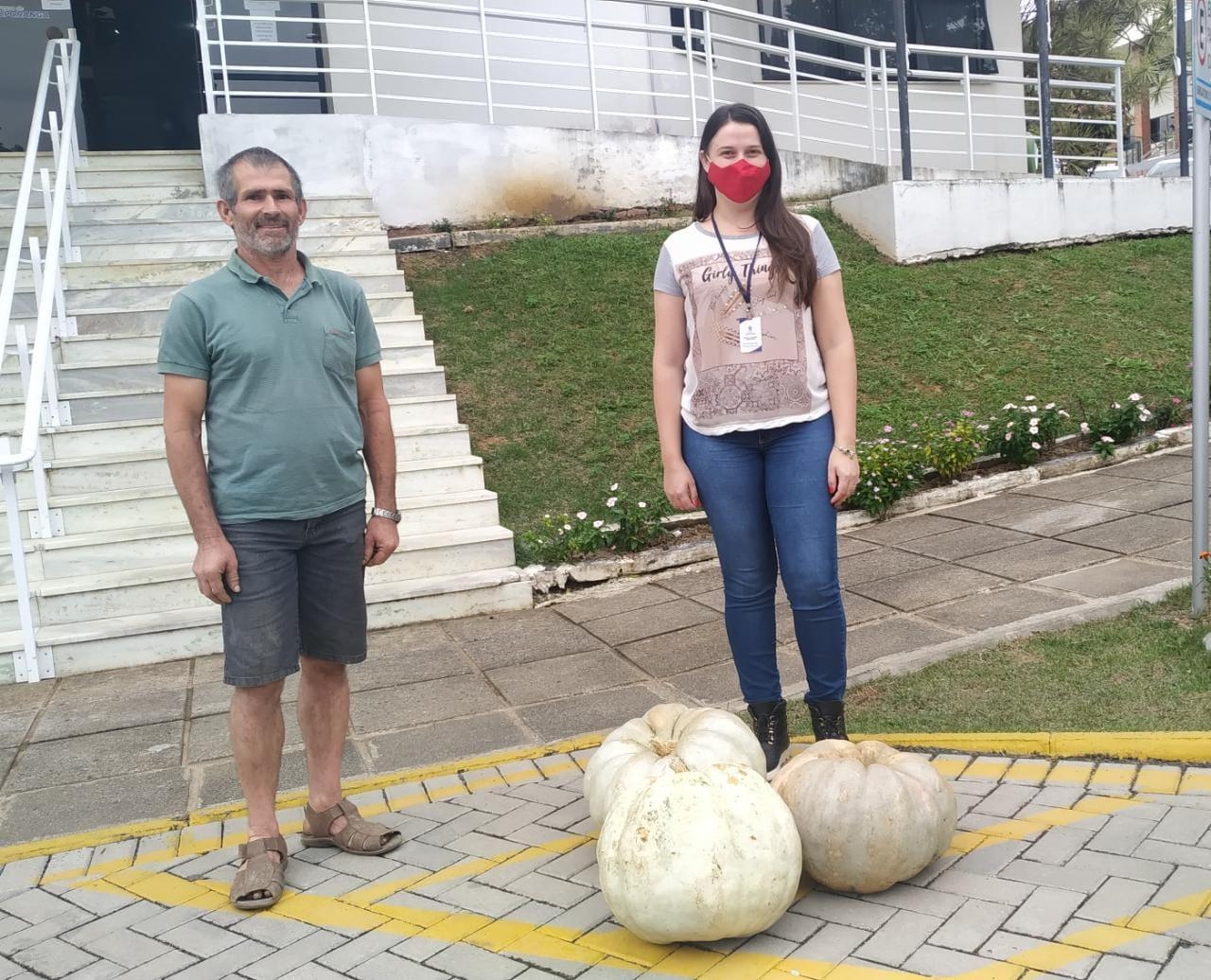 Agricultor colhe abóbora gigante em Ituporanga