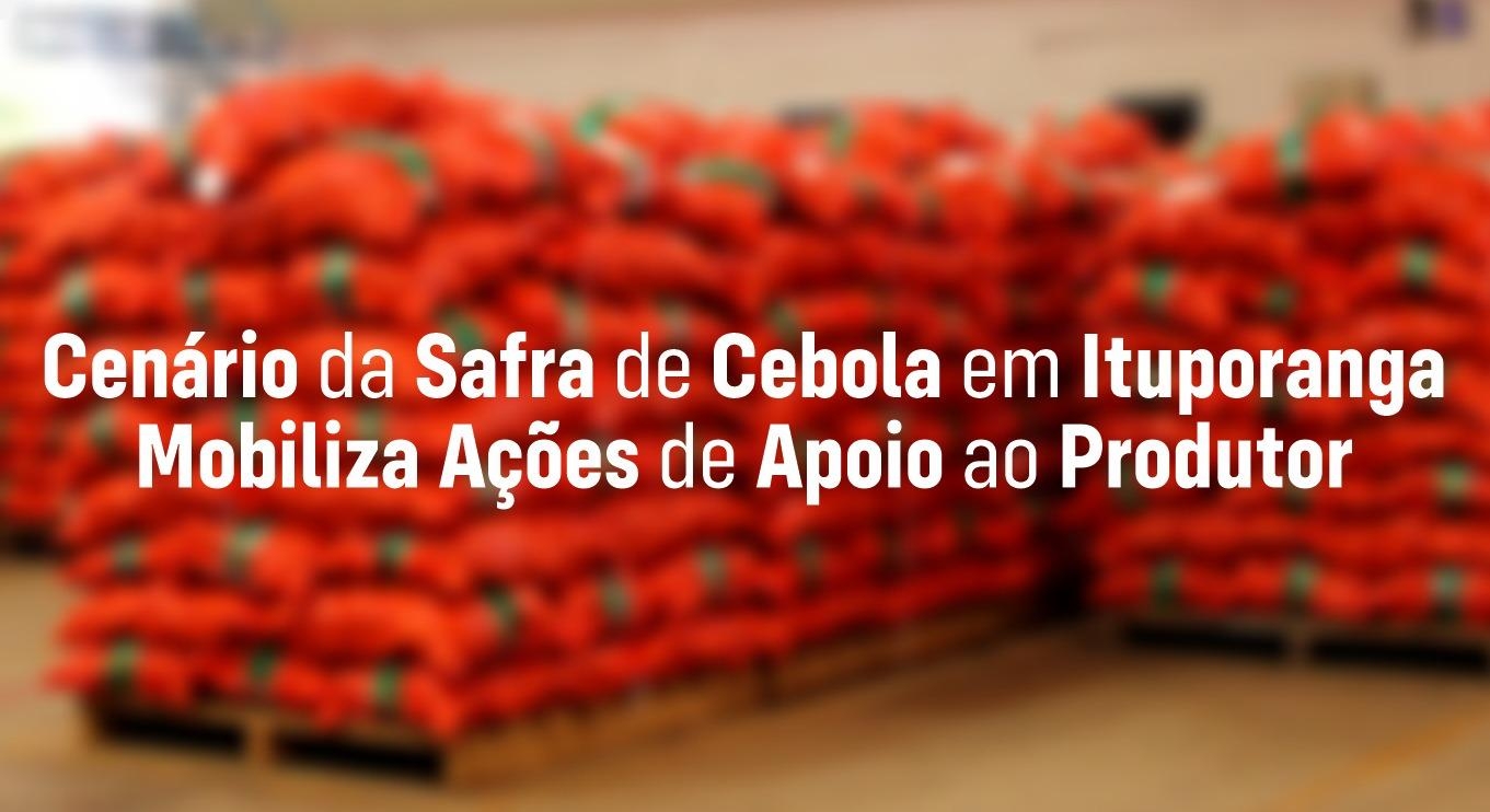 Ituporanga decreta emergência econômica na cadeia produtiva da cebola