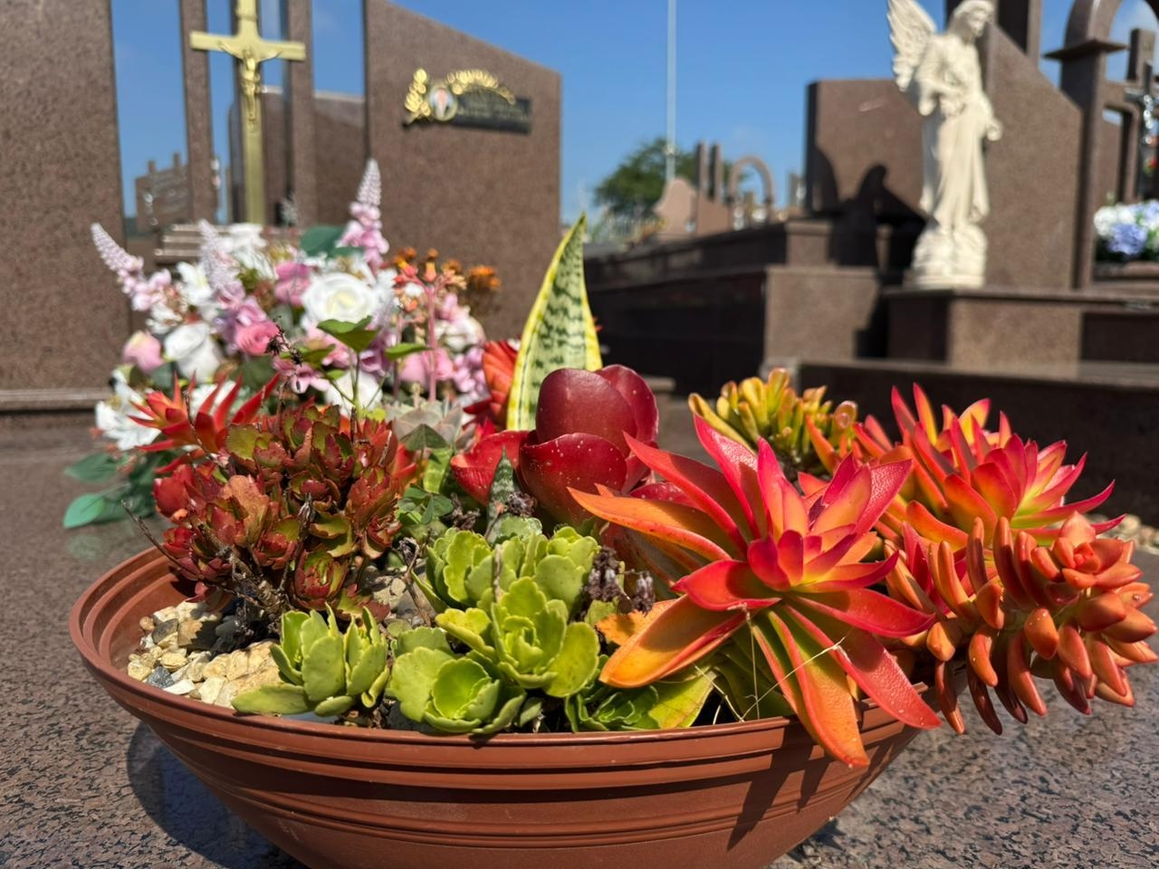 Projeto Flores Vivas nos Cemitérios pretende reduzir casos de dengue em Ituporanga